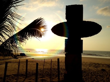 Palm Trees, a sunset, and Religious greeting card image