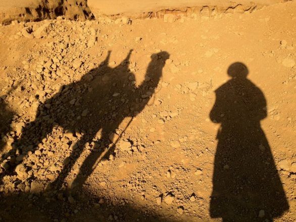 Self-portrait with camel, iPhoneography