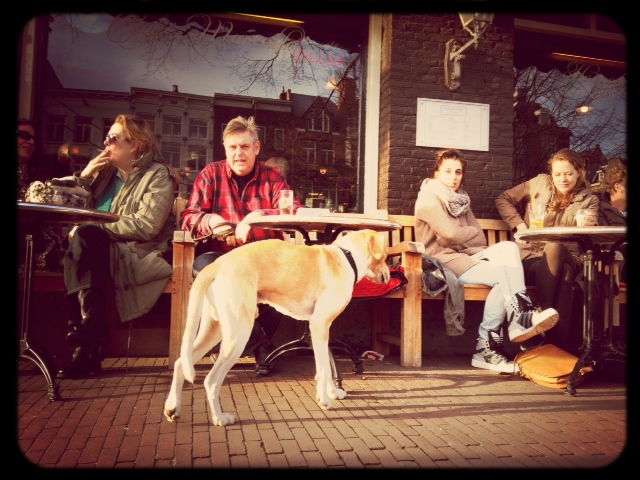 Cafe life in Amsterdam is a sure sign of Spring.