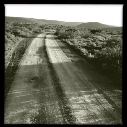 Long & winding dirt road (Hipstamatic)