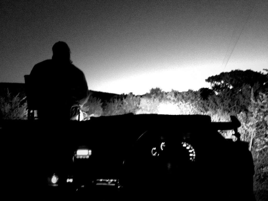 Night Ranger. I took this picture on a night game drive using my iPhone and the NightCap app