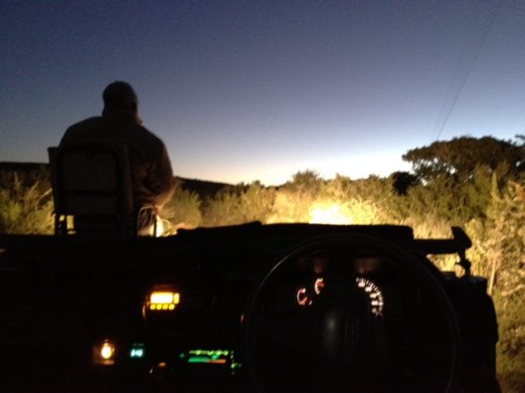 Nocturnal Game Drive