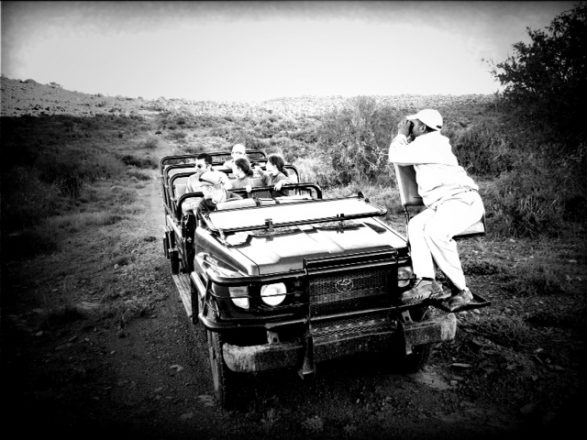 Safari vehicle picture