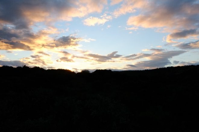Sunset in the Bushveld