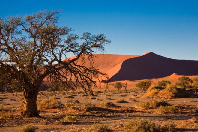The dunes of Sossusvlei in the Namib Desert 2