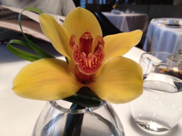 An orchid at my table at Amber during breakfast was a lovely luxe touch. It had no scent, so it didn't compete with my delicious breakfast