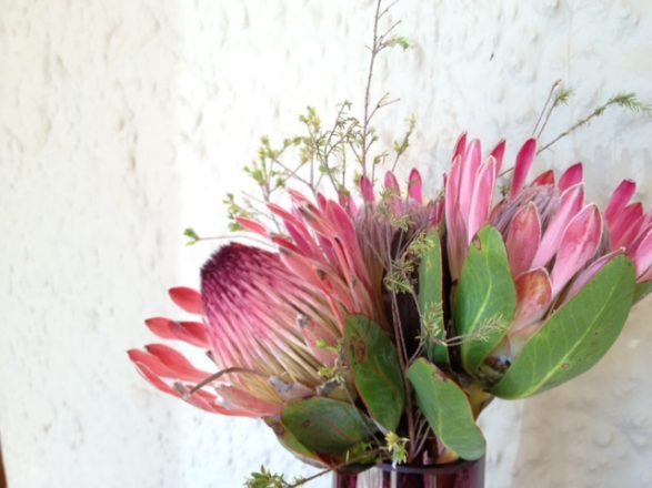 Exotic Flowers at the reception of Kwandwe (add hyperlink) in South Africa 1