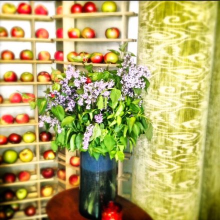 Flowers and apples line the heavenly scented entry to Bouley (add hyperlink) one of my favorite restaurants in NYC