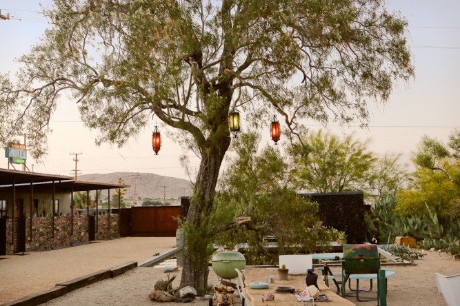 Mojave Sands - courtyard tree