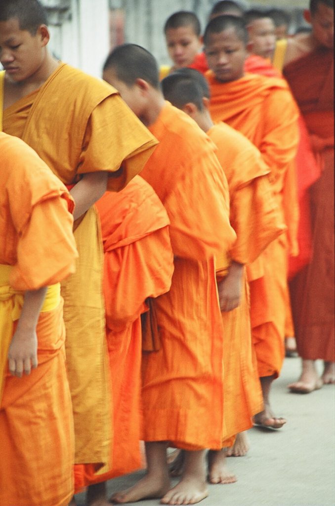 Laos Monk Orange