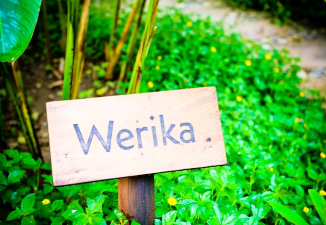  Werika room sign