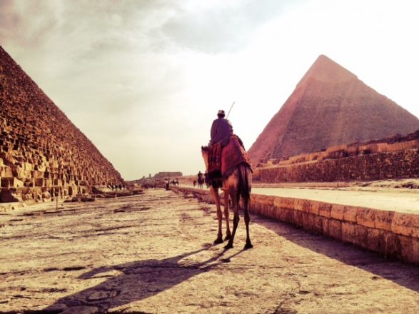 Camel between 2 pyramids