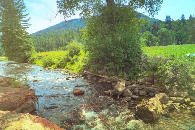 The west fork of the Dolores river may not be large, but it's beautiful