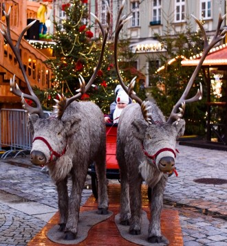 christmas_market-1814