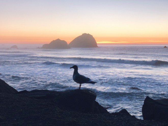 del-corte-redwood-state-park