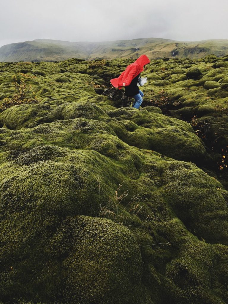 Exploring The Eldhraun Lava Field In Iceland My Lifes A Trip