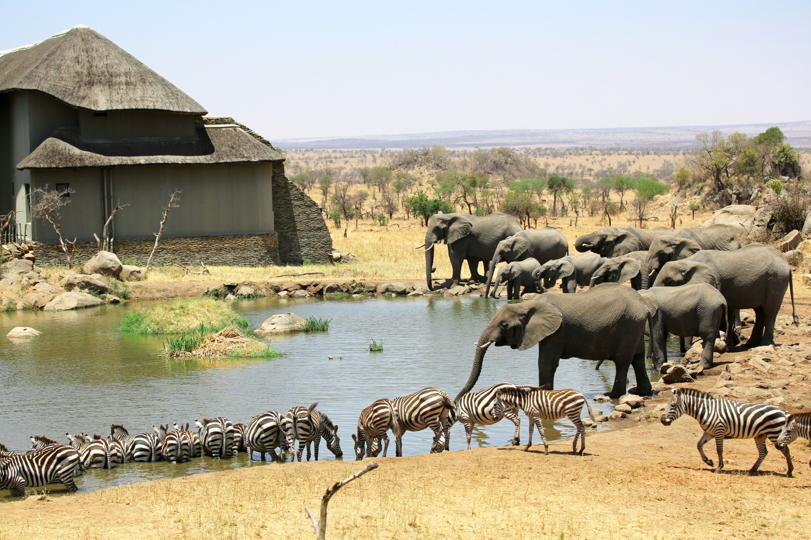 4 seasons african safari