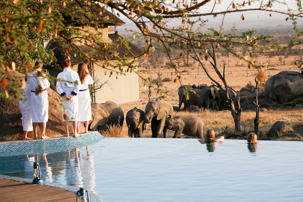 safari lodge africa four seasons