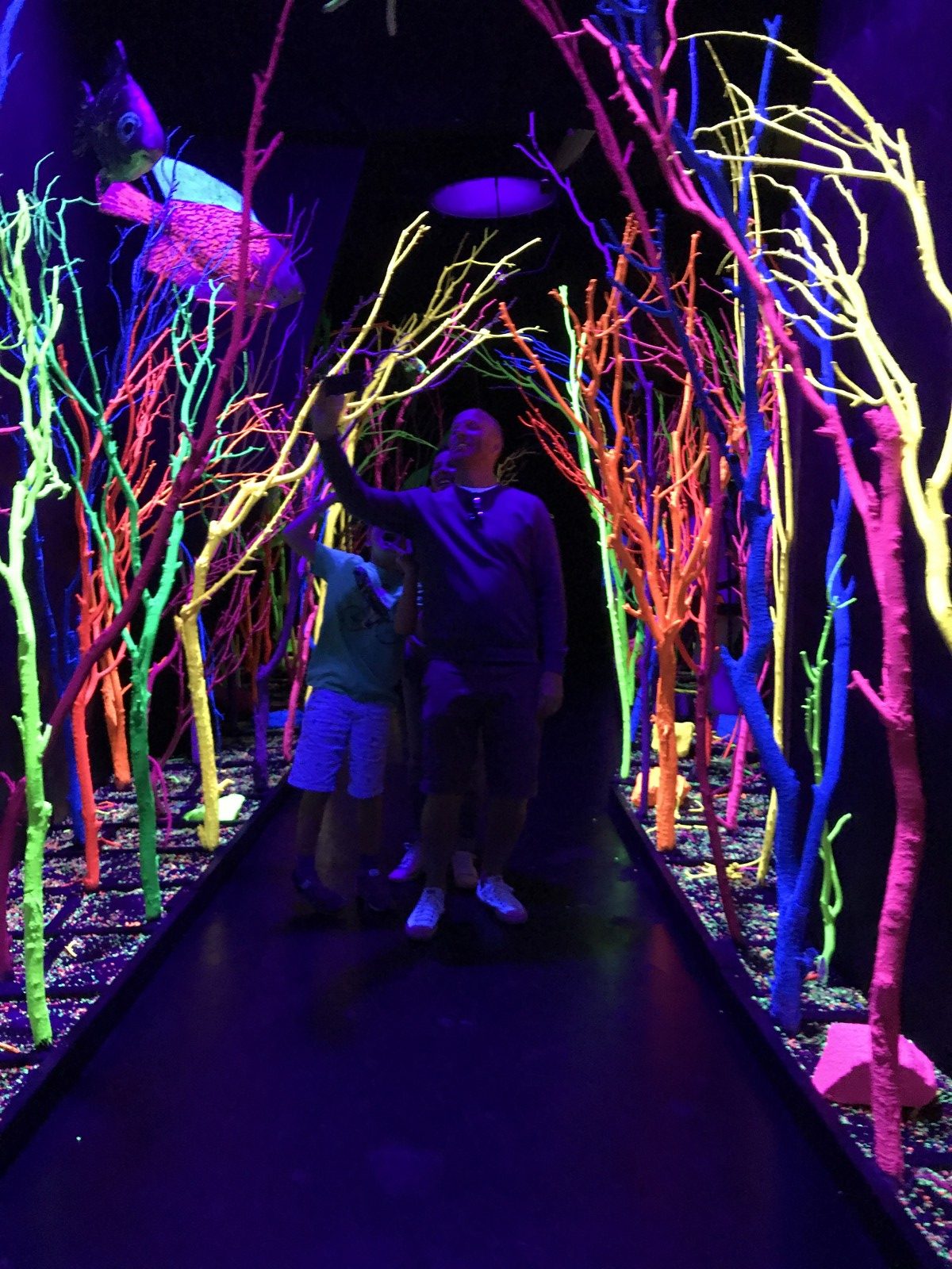 meow wolf santa fe